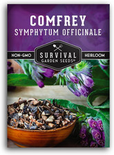Comfrey Seeds for Planting - Symphytum Officinale Medicinal Perennial Herb for C