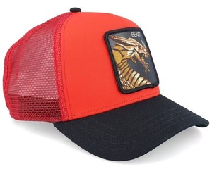 Goorin Bros Dragon | eBay display picture 2