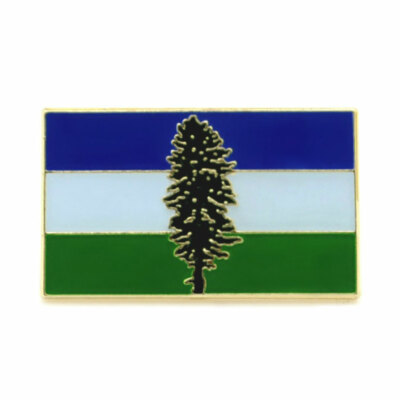 CASCADIA FLAG PIN 1'' Pacific Northwest Oregon WA BC Bioregion Lapel Jacket Badge