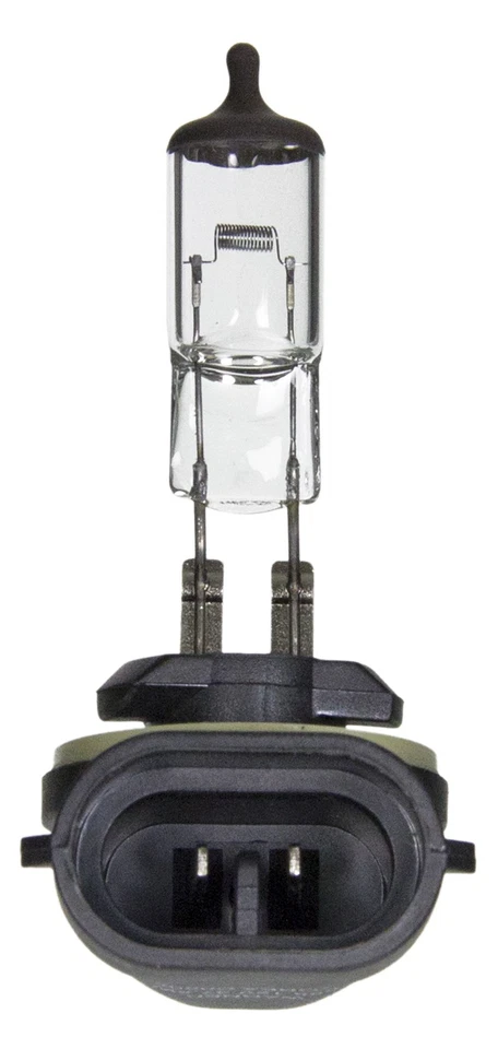 Wagner Lighting BP898 Standard Series BULBS & FLASHERS Foto 3 de 4