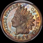 1889 Indian Head Cent — PCGS PR64 BN CAC ✅ Toned 🌈