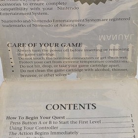 The Immortal - Manual & Insert Only - Nintendo Nes - Authentic (No Game)