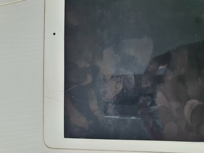 Apple iPad Pro 1st Gen. 128GB, Wi-Fi, 12.9 in - Gold for sale