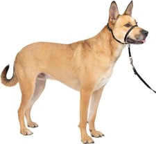 No-Pull Dog Headcollar - Redirects Your Dog's Pulling for Easier Walks