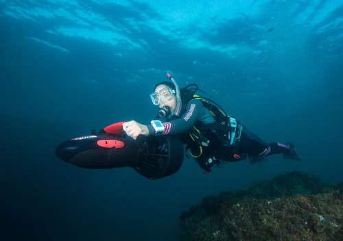 YAMAHA Seascooter RDS300 - just arrived - authorised dealer - Picture 2 of 3