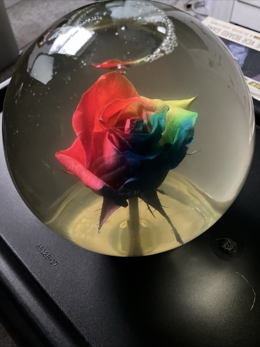 zb1 ROSE RING WATERGLOBE スノードーム Preserved Real Rose in Glass Water Dome Globe 7” Rainbow Colors