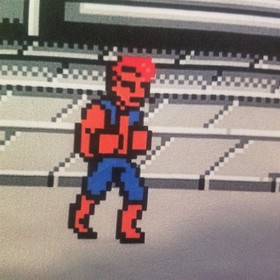 Double Dragon wall banner flag 5 foot tapestry 🐉 Classic NES game room pixels