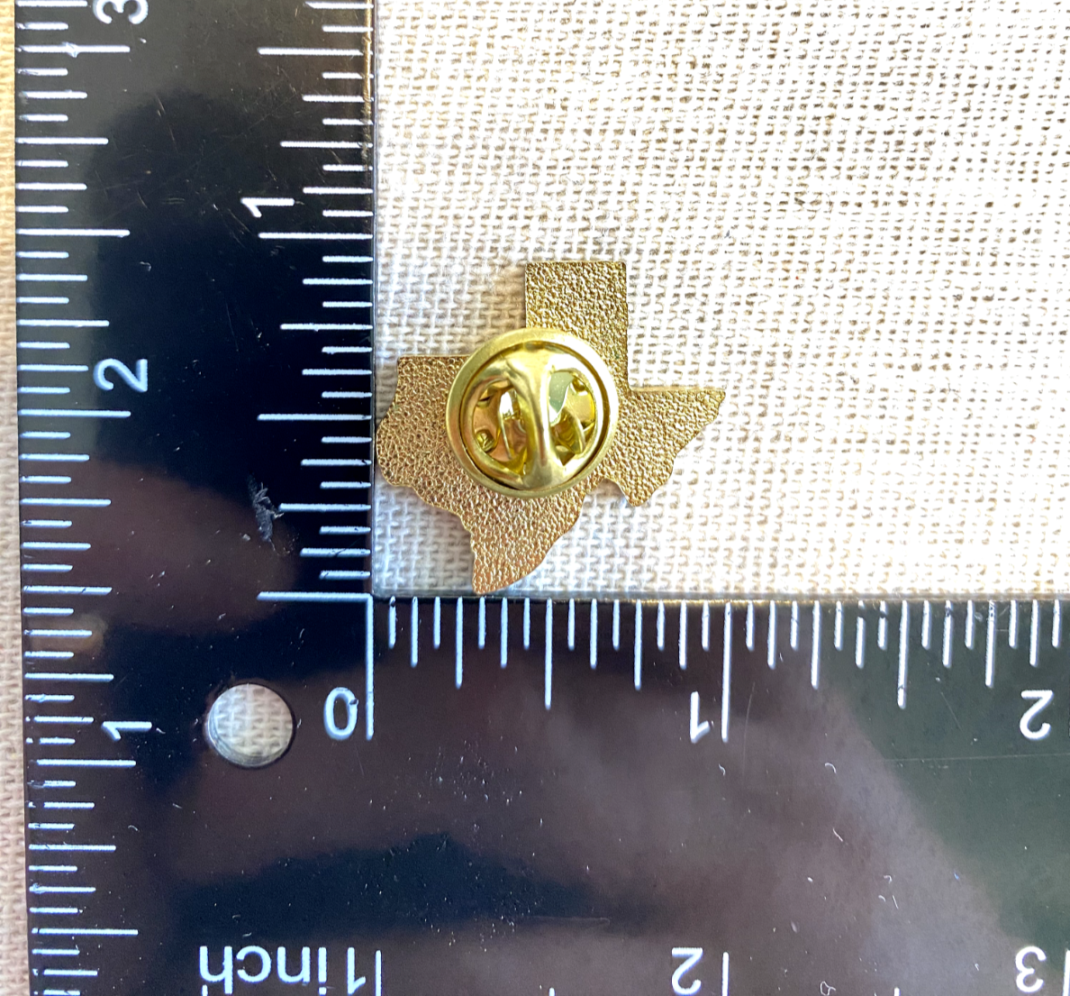 Texas CPOF Pin Correctional Peace Officers Foundation Lone Star State ...