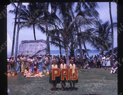 sl66 Original slide 1960's  Hawaii traditional dancer Kodak show 222a