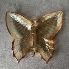 Iridescent Butterfly Marigold Carnival Jeannette Candy Nut Dish Vintage