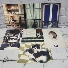 Vintage Oversized Kitty Cat Postcards 7pc Lot #3