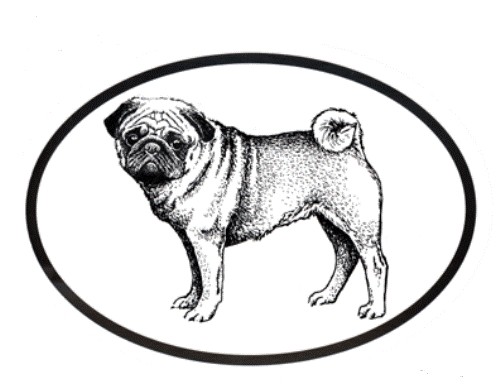 Pug Decal - Dog Breed Oval Vinyl Black & White Window Sticker - Picture 1 of 2