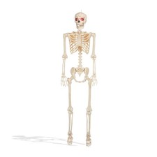 5' Animated Halloween Skeleton Light-Up Eyes Speaker Scary Outdoor Yard Decor