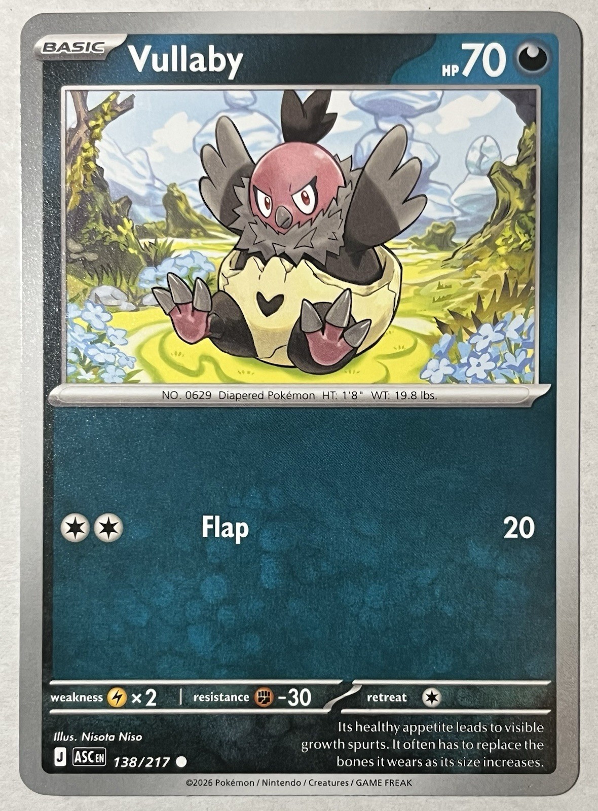 Vullaby | 138/217 | Pokemon Ascended Heroes NM