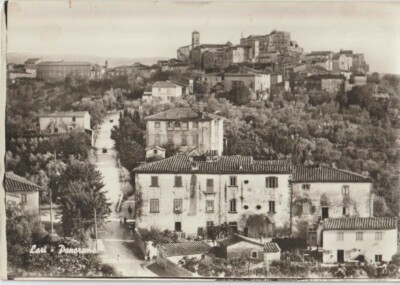 Lari Pisa panorama