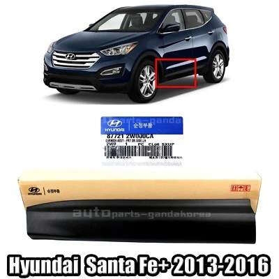 Door Frame Molding Front Right 822602W000 for Hyundai SantaFe 13-19 | Australia