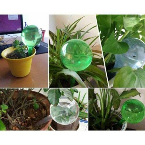 6X Plante Arrosage Globes Bulbs-Garden Fleur Goutte Automatique Auto-Arrosage - Photo 1/36