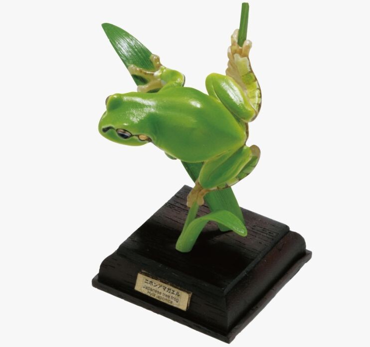 Nature Techni Colour Mini Figure Japanese Frog Set of 6 Ikimon