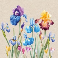 20 Servietten Nachhaltig Iris Bunte Blumen Garten Natur ÖKo Sommer Deko 33X33Cm