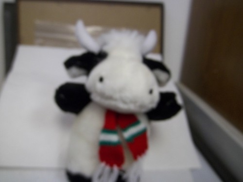 Cow Bull Plush Black And White With Horns (B-1204) - Picture 3 of 4