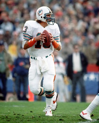 Dan Marino #13 Miami Dolphins NFL 8