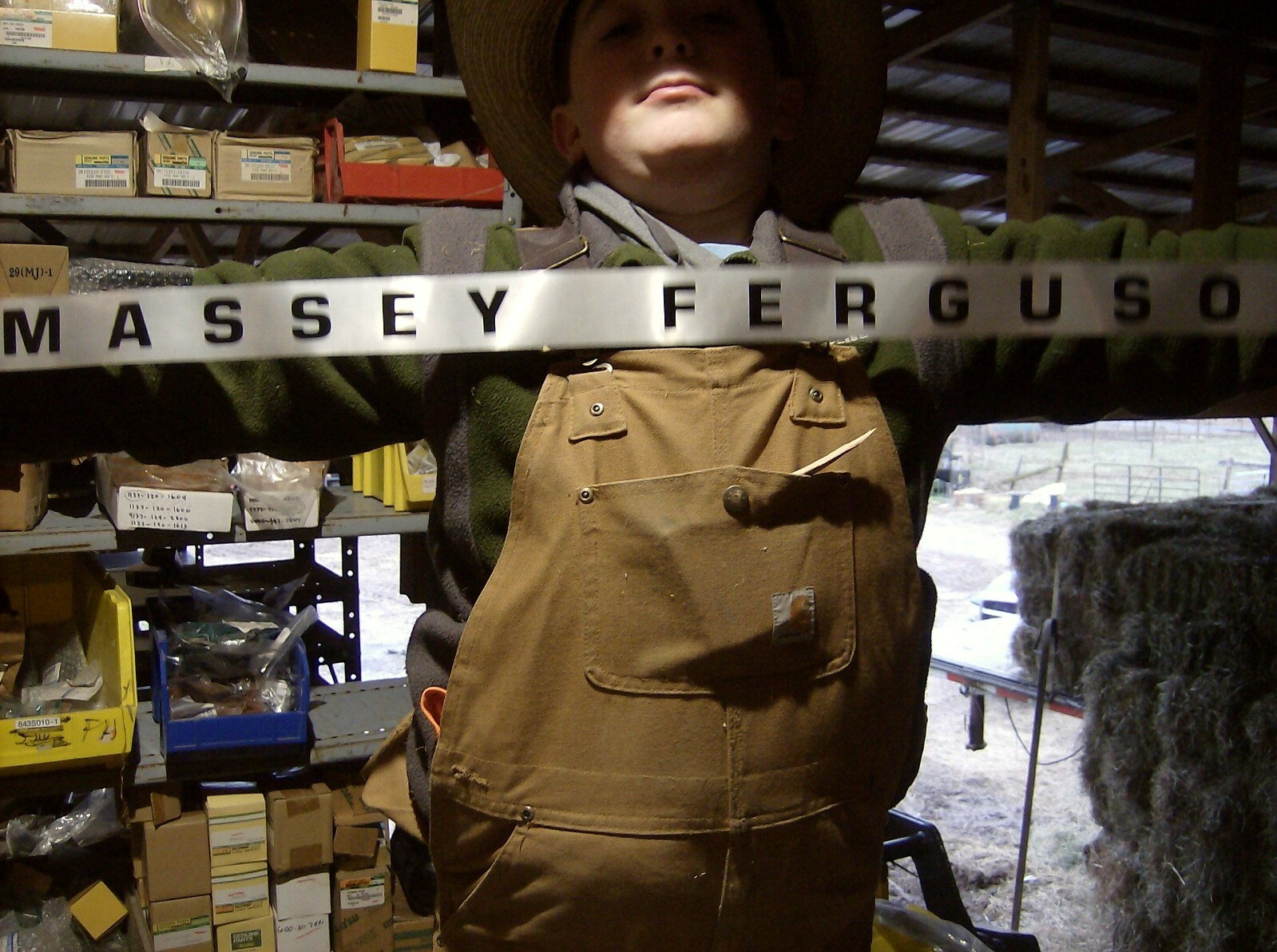 GENUINE MASSEY FERGUSON HOOD DECAL 505154M1 eBay