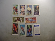 Brooke Bond tea cards Tropical Birds  (8670) 10/50 variable condition