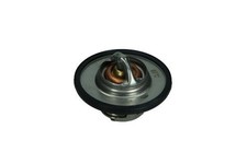 Thermostat Renault R19