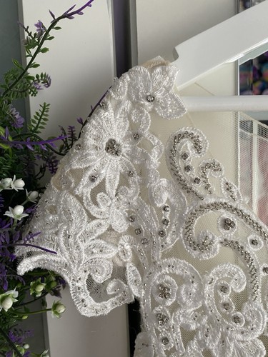 Gorgeous Anna Serrano Beautifully Embellished Wedding Dress Size 18 With Train - Picture 6 of 12