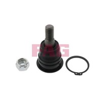 FAG Traggelenk FüHrungsgelenk FüR Nissan Almera Tino V10 Primera Kombi WP12 P12