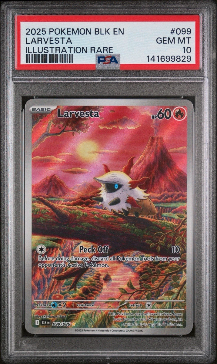 Larvesta Pokémon TCG Cards for sale | eBay