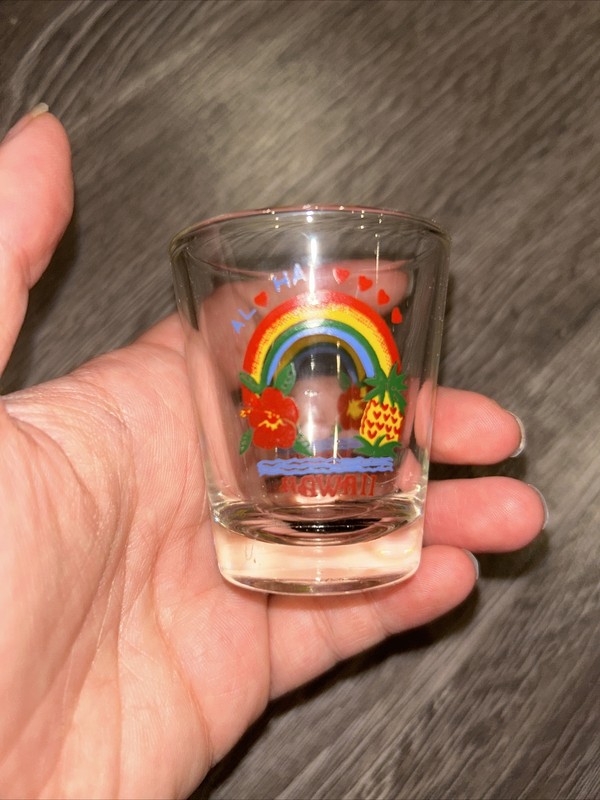 Vintage Shot Glass Souvenir of Hawaii, Rainbow Pineapple Flower Taiwan
