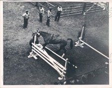 1937 National Horse Show William Moran Falls from Jumping Jack Press Photo