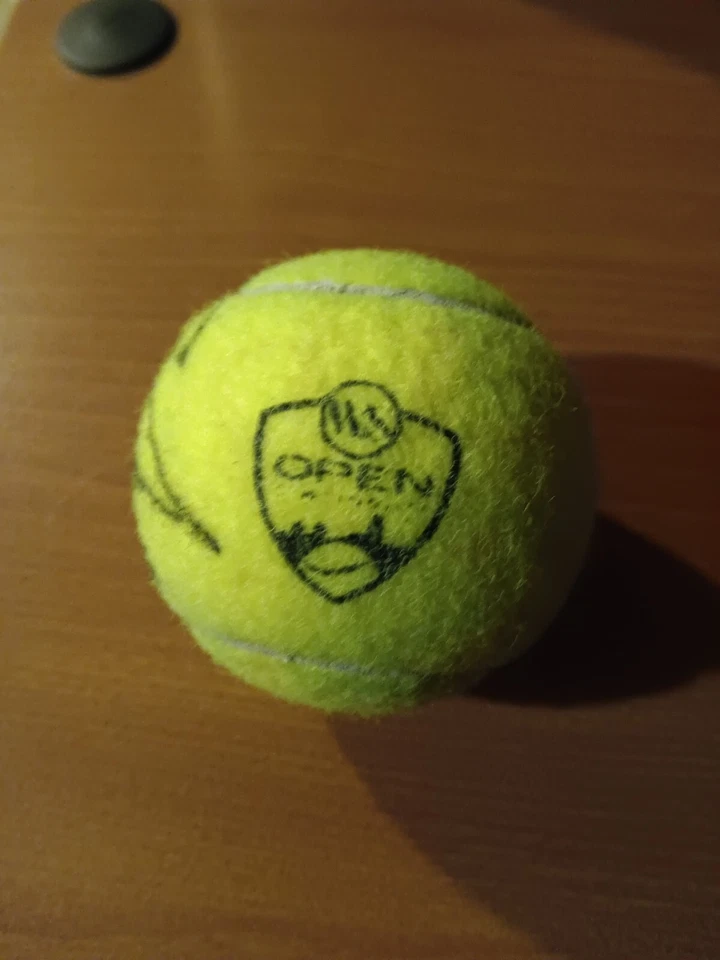 维多利亚·阿扎伦卡签名 W&S 官方练习网球美国 WTA 网球球员 — 第 2/4 张图片