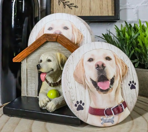 Cute Golden Retriever Puppy Dog In Doghouse Coaster Set Holder And 4 Coasters - 第 9/9 張圖片
