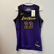 Boy  s Nike LeBron James 23 Los Angeles Lakers City Edition Jersey Sz Youth L