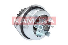Pompe à eau Rover 111