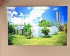 Kodak Lot of 50+ 1980's Shots Of Island Flowers And Natives 35mm Slides Africa — photo 4