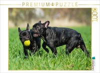 Calvendo Puzzle FranzöSische Bulldogge - Welpen Beim Spiel | 1000 Teile Lege-Grö