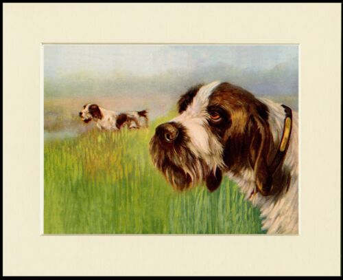 GERMAN WIREHAIRED POINTER DOGS AT WORK LOVELY DOG PRINT MOUNTED READY TO FRAME - Picture 1 of 1
