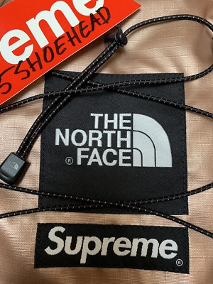 Supreme x North Face SS18 Metallic Rose Gold Backpack Borealis
