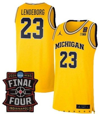 NWT! Michigan Wolverines Yaxel Lendeborg #23 Jordan Stitched