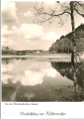 Ravensburg Postcard Early Spring at Rösslerweiher Photo Art Postcard around 1970 