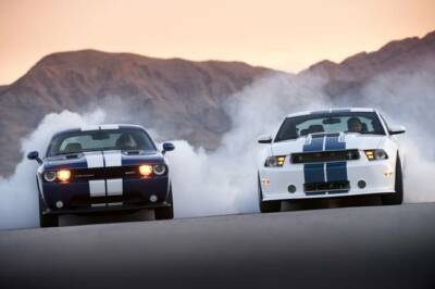Poster - Dodge Challenger vs Shelby 2011 Car Photo Imagekind Motorsport