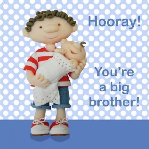 New baby Holy Mackerel Card you're a big brother