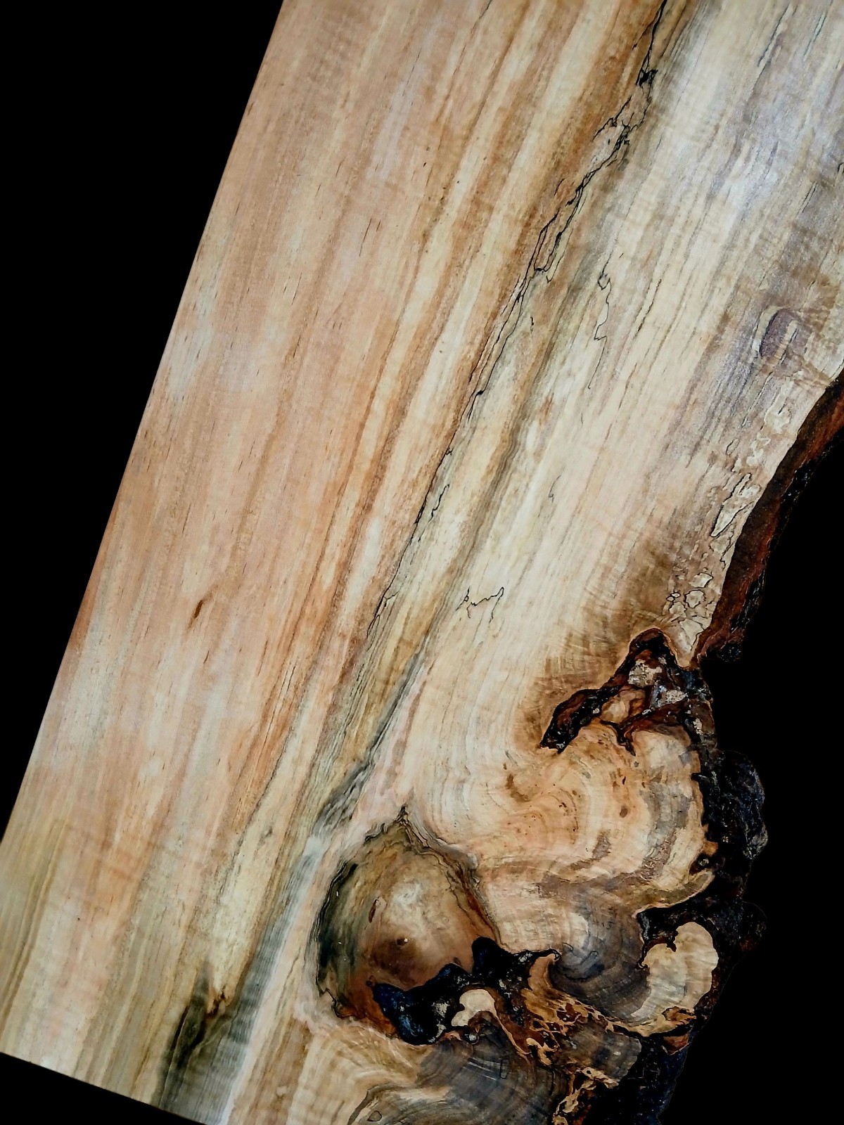 XXL MIND BLOWING Curly RED Maple Burl wood Slab EPOXY/STABILIZING/ Turning Wood