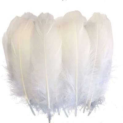 Sowder Natural Goose Feathers Clothing Accessories Pack of 100(White) White