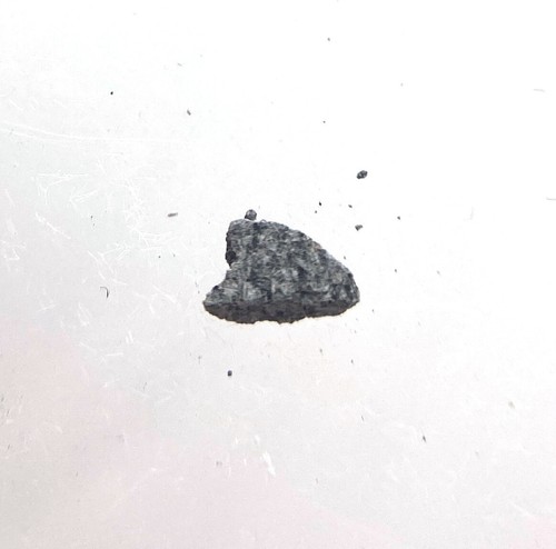 Fragmento de eucrita meteorito Bouvante - 0,02 gramos - Francia - Imagen 5 de 5