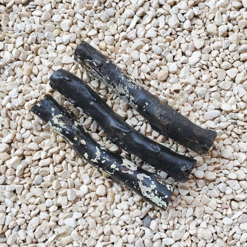 286 Gramm echte natürliche rohe schwarze Korallenzweig indonesische Seeweide Jusr #34 - Bild 2 von 6