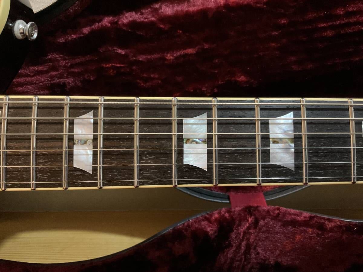 Electric Guitar Ryoga Cicada G2/TM Toshiro Miyawaki Model